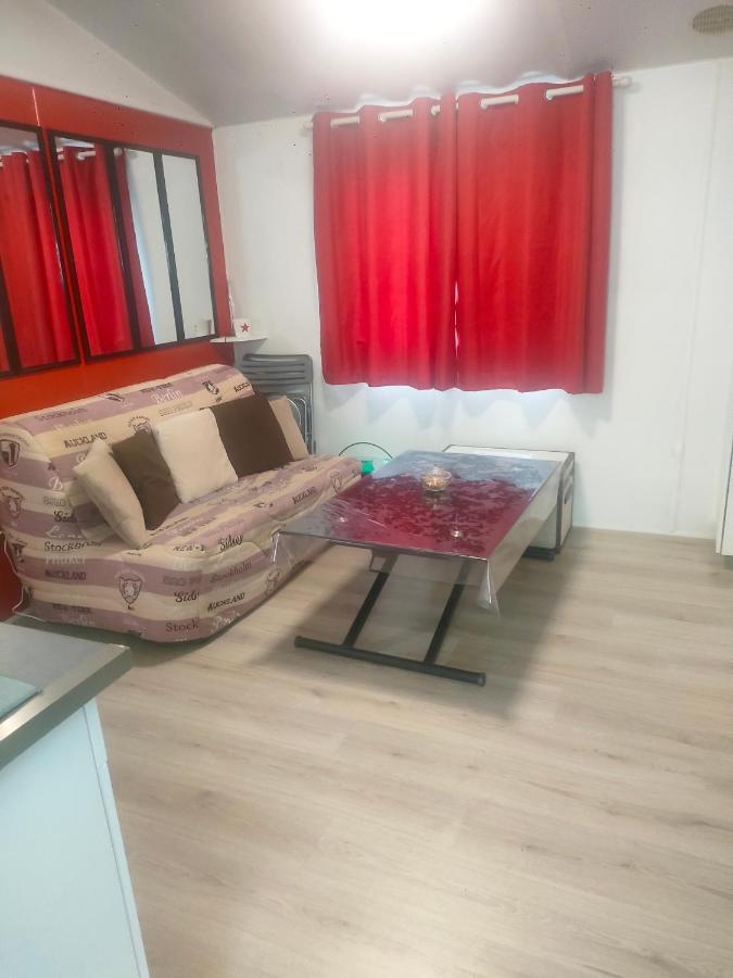 Mobil Home Climatise Au Domaine Lalande A Mimizan-Plage エクステリア 写真